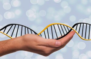 Crispr-Medikament - DNA-Schere
